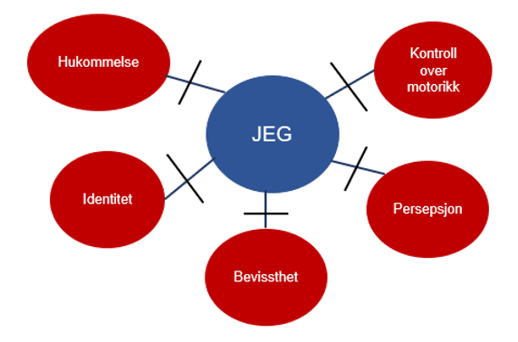 Modell av det som oppfattes som å ha et "jeg": hukommelse, identitet, bevissthet, persepsjon og kontroll over motorikk